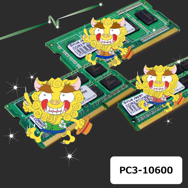 pc3-10600n