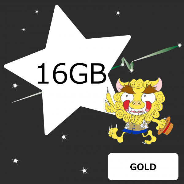 usb GOLD 16