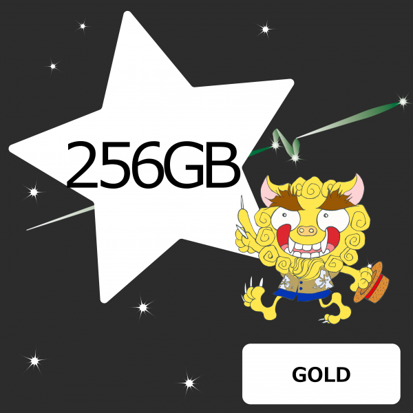 usb GOLD 256