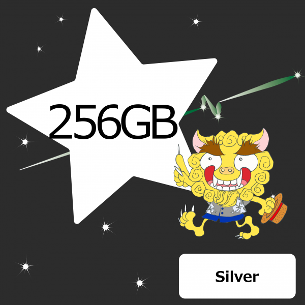 usb Silver 256