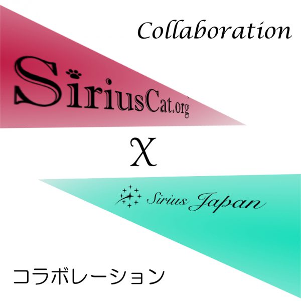 Sirius Cat SSD コラボレーション