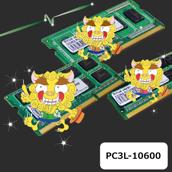 PC3L-10600N