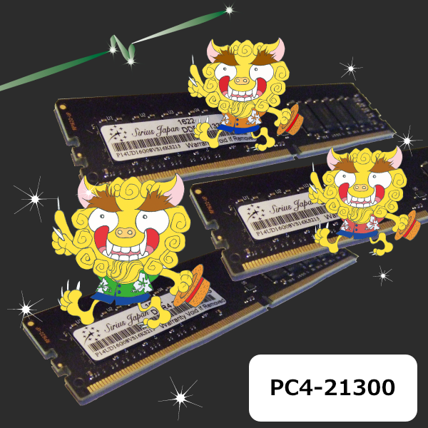 PC4-21300