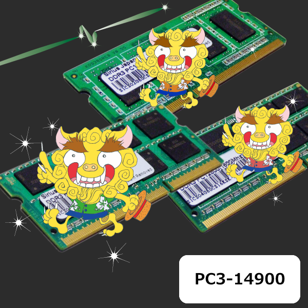 PC3-14900N