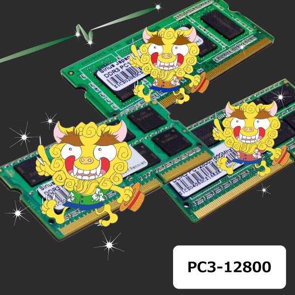 PC3-12800N