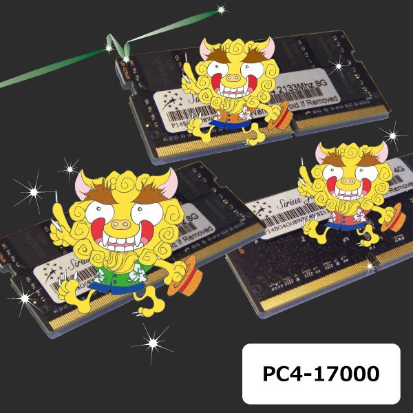PC4-17000N